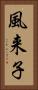 風来子 Vertical Portrait