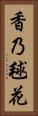 香乃毬花 Vertical Portrait