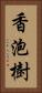 香泡樹 Vertical Portrait