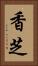香芝 Vertical Portrait