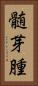 髄芽腫 Vertical Portrait