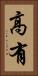 高有 Vertical Portrait