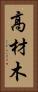 高材木 Vertical Portrait