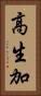 高生加 Vertical Portrait