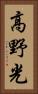 高野光 Vertical Portrait