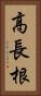 高長根 Vertical Portrait