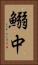 鰯中 Vertical Portrait