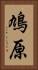 鳩原 Vertical Portrait