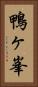 鴨ヶ峯 Vertical Portrait