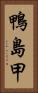 鴨島甲 Vertical Portrait