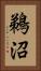 鵜沼 Vertical Portrait