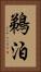 鵜泊 Vertical Portrait