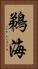 鵜海 Vertical Portrait