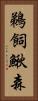 鵜飼鰍森 Vertical Portrait