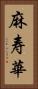 麻寿華 Vertical Portrait