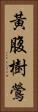 黃腹樹鶯 Vertical Portrait