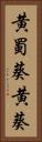 黄蜀葵 Vertical Portrait