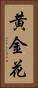 黄金花 Vertical Portrait