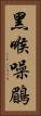 黑喉噪鶥 Vertical Portrait