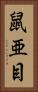 鼠亜目 Vertical Portrait