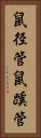 鼠径管 Vertical Portrait