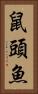 鼠頭魚 Vertical Portrait