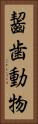 齧歯動物 Vertical Portrait
