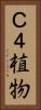 Ｃ４植物 Vertical Portrait
