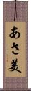 あさ美 Scroll