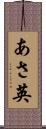 あさ英 Scroll