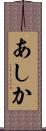 あしか Scroll