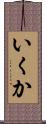 いくか Scroll