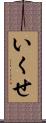 いくせ Scroll