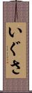 いぐさ Scroll