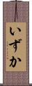 いずか Scroll