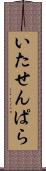 いたせんぱら Scroll
