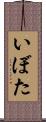 いぼた Scroll