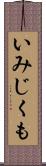 いみじくも Scroll