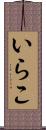 いらこ Scroll