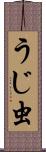 うじ虫 Scroll