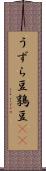 うずら豆 Scroll