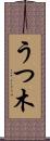 うつ木 Scroll