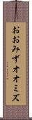 おおみず Scroll
