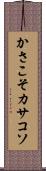 かさこそ Scroll