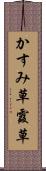 かすみ草 Scroll