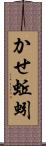 かせ蚯蚓 Scroll