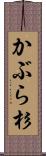かぶら杉 Scroll