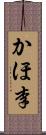 かほ李 Scroll