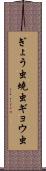 ぎょう虫 Scroll