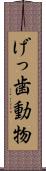 げっ歯動物 Scroll
